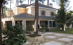Cuencaloft el Chalet del Pinar